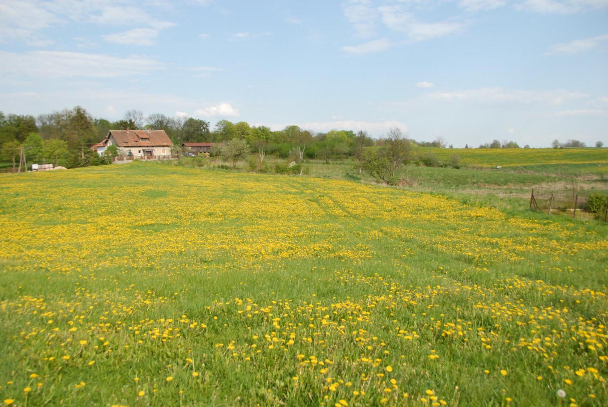 Nad Dolina Krutyni Farm stay *